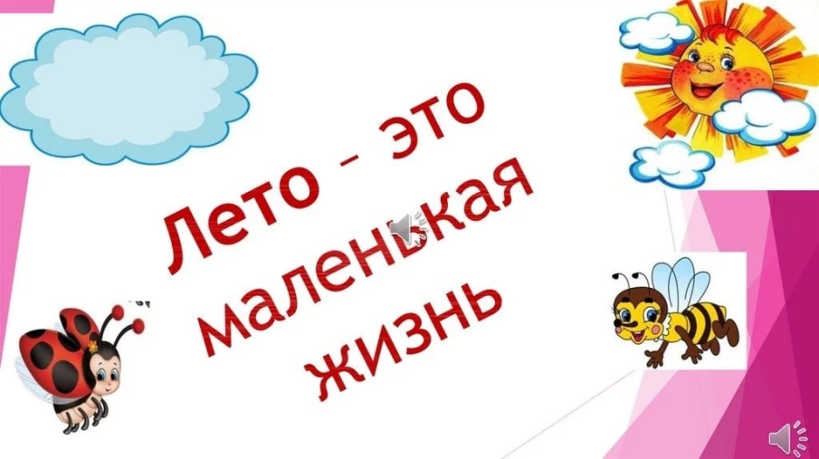 ИПМ "Лето-это маленькая жизнь!"