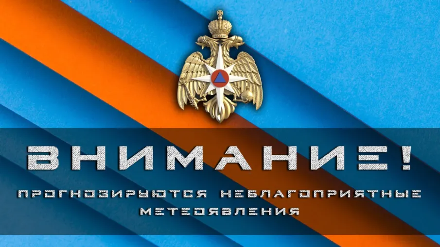 В период с 10 по 14 августа 2023 г. местами по Нижегородской области ожидается высокая (4 класс) пожароопасность лесов и торфяников.