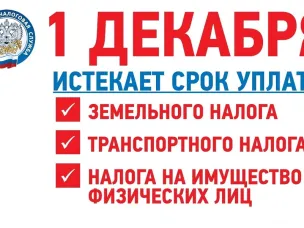 1 декабря 2022 года - срок уплаты имущественных налогов за 2021 год