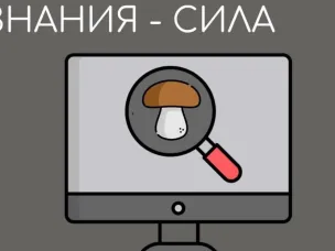 Цель набрать грибов и не терять себя!