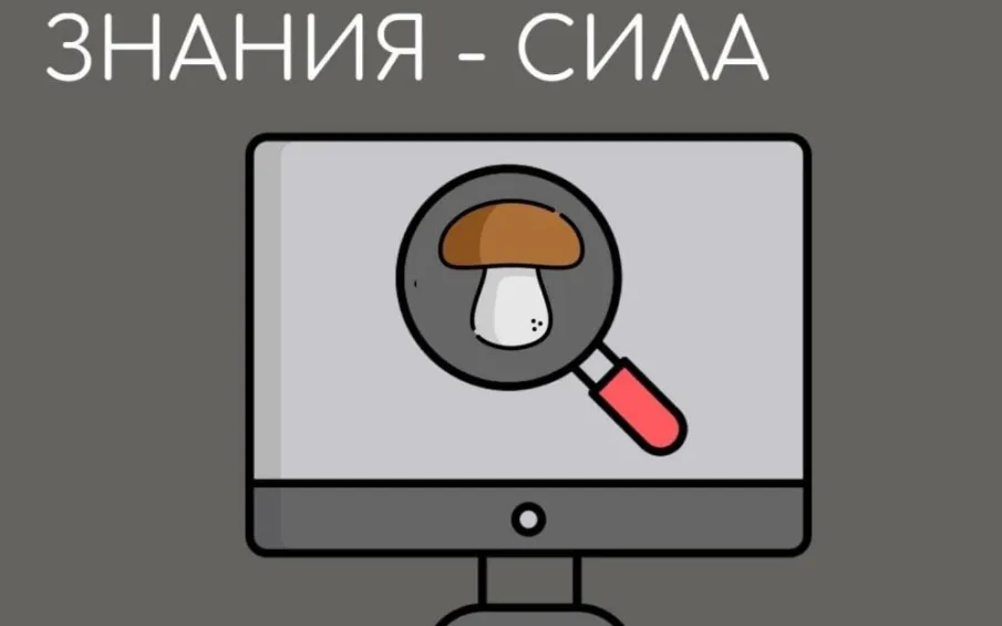 Цель набрать грибов и не терять себя!