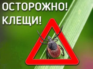 Территориальный отдел Управления Роспотребнадзора по Нижегородской области в Балахнинском районе, г.о.г. Чкаловск предупреждает