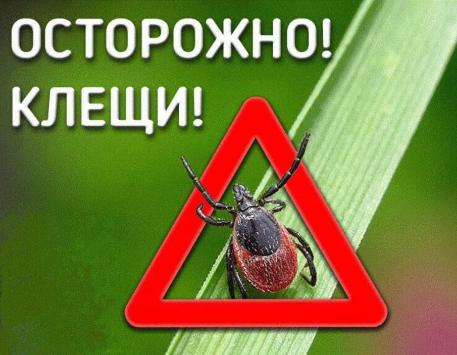 Территориальный отдел Управления Роспотребнадзора по Нижегородской области в Балахнинском районе, г.о.г. Чкаловск предупреждает