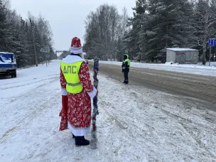 Балахнинские госавтоинспекторы и общественники провели акцию «Полицейский Дед Мороз»