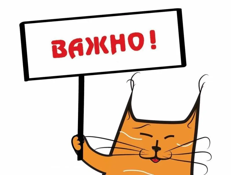 Выявление  безалкогольных напитков, несоответствующих требованиям технических регламентов