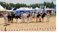 Агропромышленная выставка «День поля-2026» пройдет в Нижегородской области 26 июня