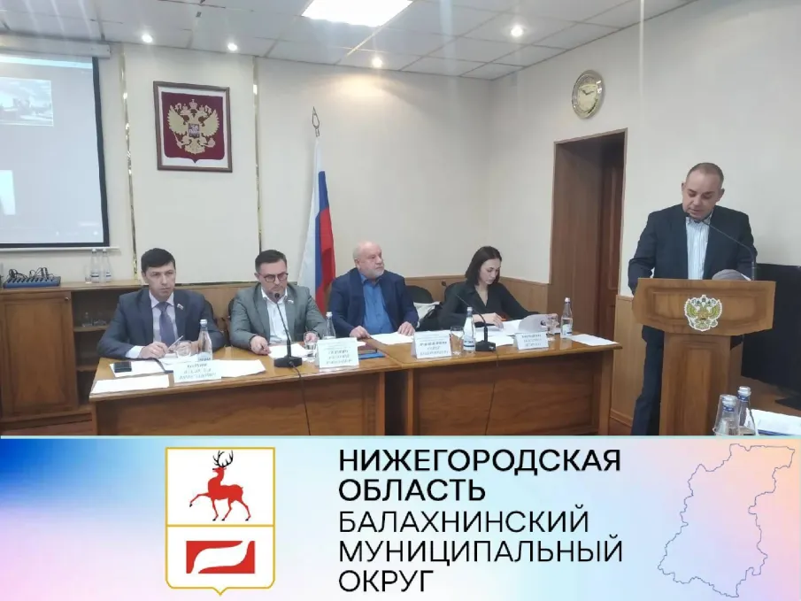 Андрей Дранишников: "Вопрос с местом для складирования снега в Балахнинском округе решен"