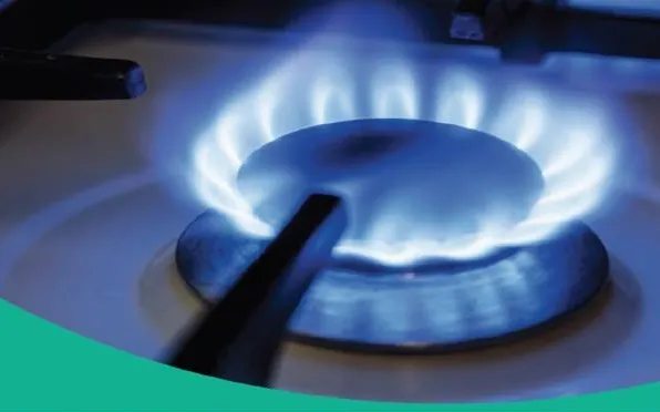 Постановление Правительства Нижегородской области  от 29.09.2022 №786