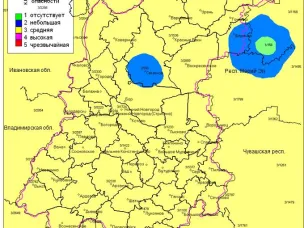 СВОДКА по обстановке, сложившейся в результате лесных пожаров  на территории Нижегородской области по состоянию на 23.00 08.06.2026