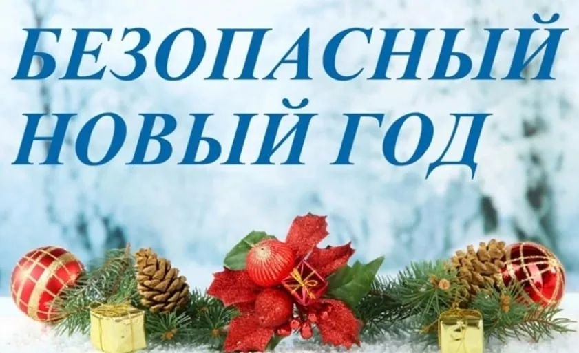 Уважаемые балахнинцы, чтобы самый долгожданный и любимый праздник для вас и ваших близких не обернулся пожаром, заранее позаботьтесь о выполнении противопожарных мероприятий у себя дома!