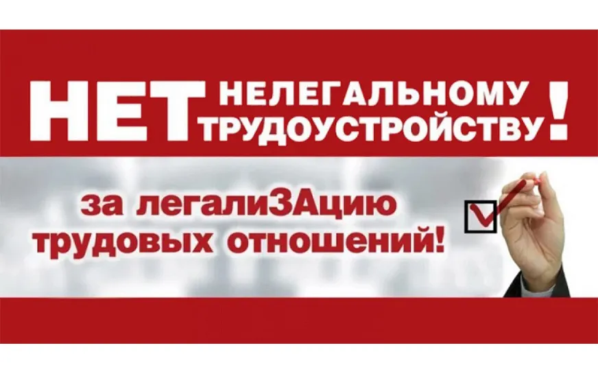 Неформальная занятость: последствия отсутствия трудового договора для работодателя и работника.