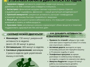 Почему физическая активность необходима каждому