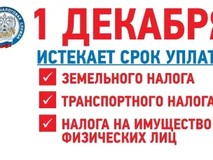 1 декабря 2023 года - срок уплаты имущественных налогов за 2022 год